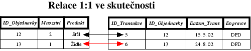 Relace 1:1 ve skutenosti
